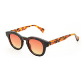 LOOKlight Pinus Chocolate Unisex Sunglasses