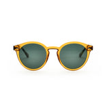 LOOKlight Letoon Bold Daisy Amber Unisex Sunglasses