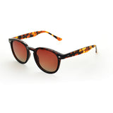 LOOKlight Langdon Bold Chocolate Unisex Sunglasses