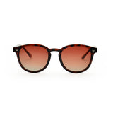 LOOKlight Langdon Bold Chocolate Unisex Sunglasses